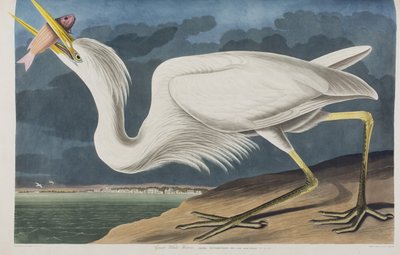 Ilustración de 