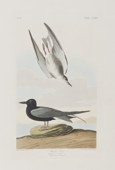 Ilustración de 
