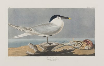 Ilustración de 
