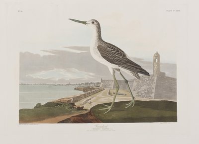 Ilustración de 