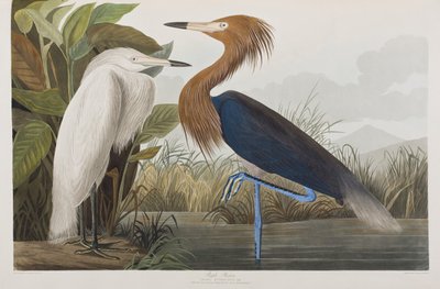 Ilustración de 