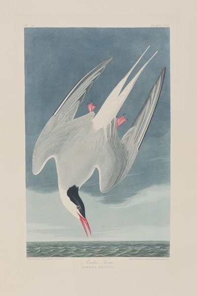 Ilustración de 