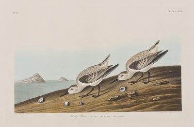 Ilustración de 