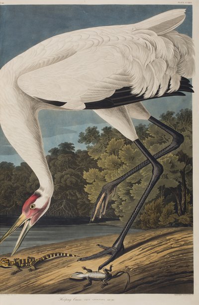Ilustración de 