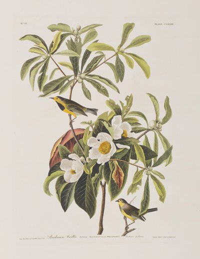 Ilustración de 