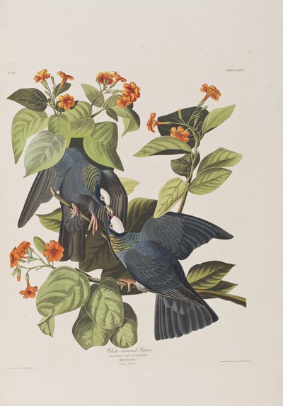 Ilustración de 