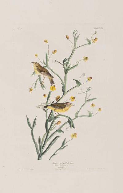 Ilustración de 