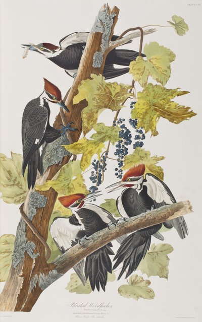 Ilustración de 