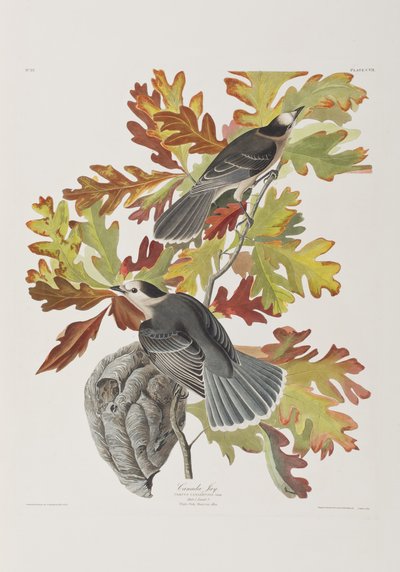 Ilustración de 