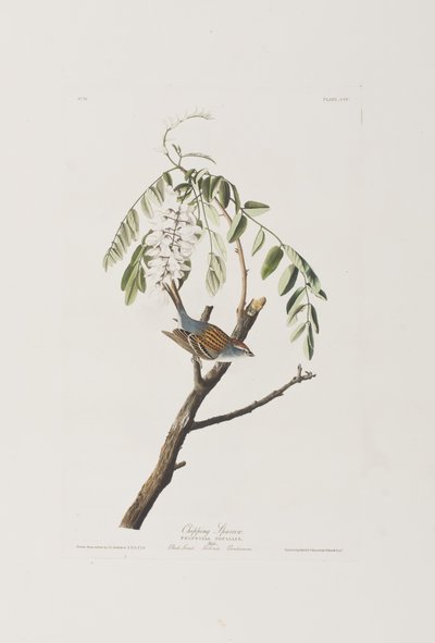 Ilustración de 