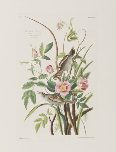 Ilustración de 