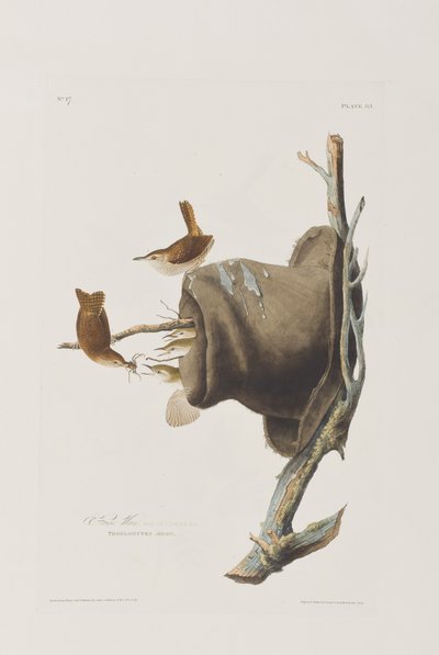 Ilustración de 