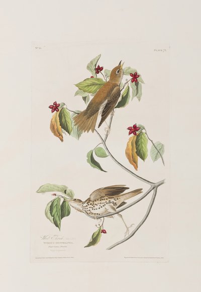Ilustración de 