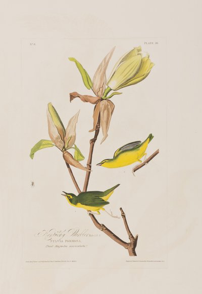 Ilustración de 