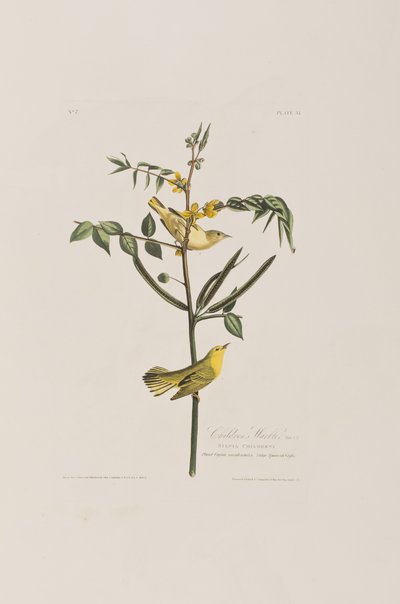 Ilustración de 