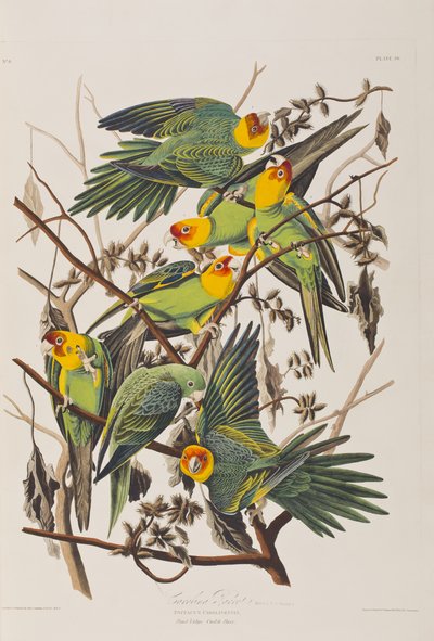 Ilustración de 