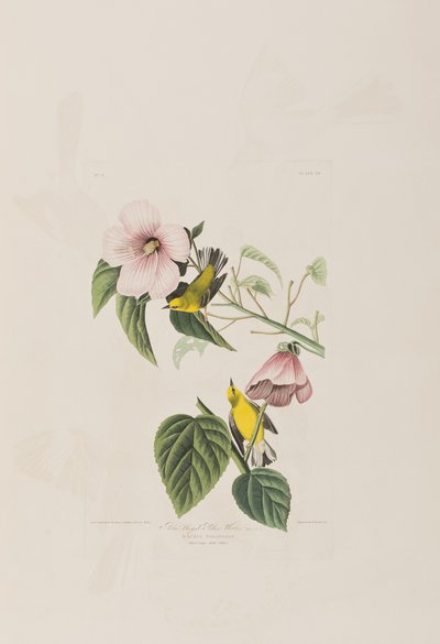 Ilustración de 