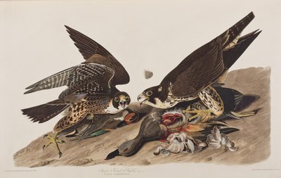 Ilustración de 