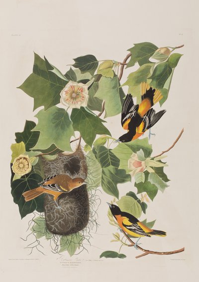 Ilustración de 