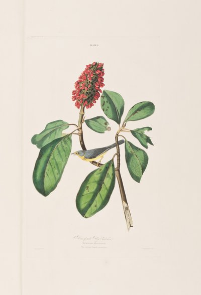 Ilustración de 
