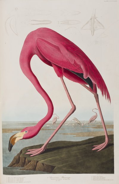 Ilustración de 