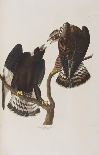 Ilustración de 