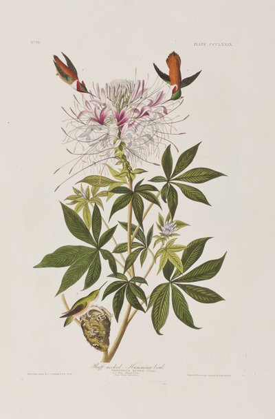 Ilustración de 