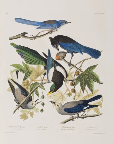 Ilustración de 