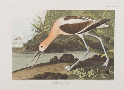 Ilustración de 
