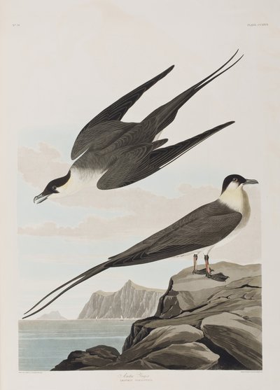 Ilustración de 