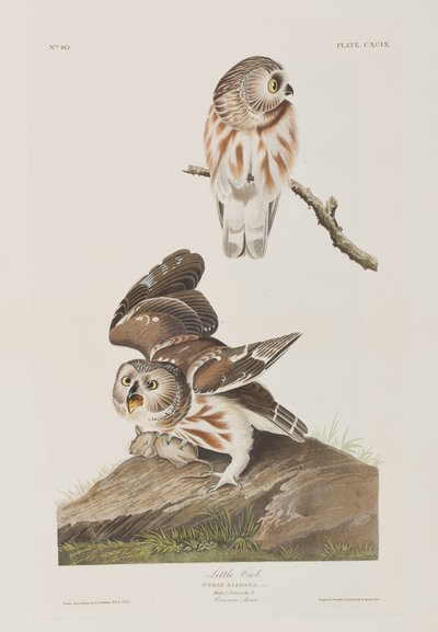 Ilustración de 