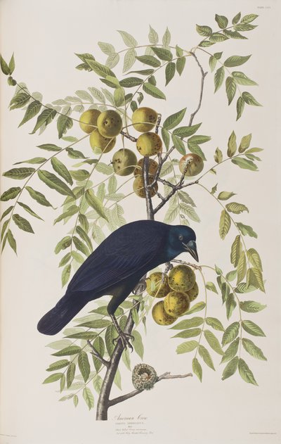 Ilustración de 