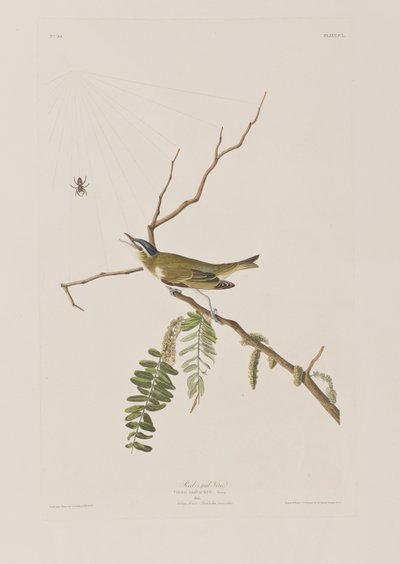 Ilustración de 