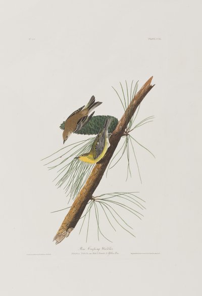 Ilustración de 