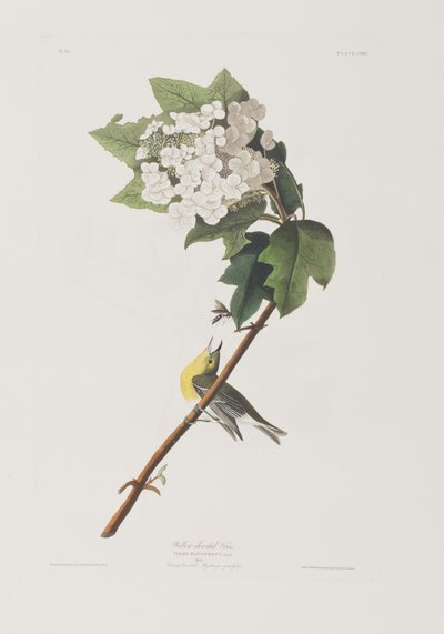 Ilustración de 