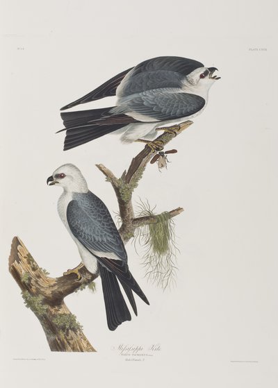 Ilustración de 