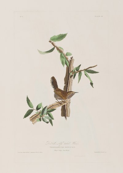 Ilustración de 