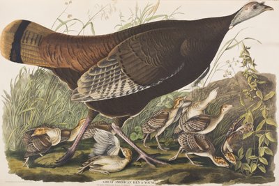 Ilustración de 