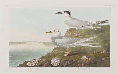 Ilustración de 