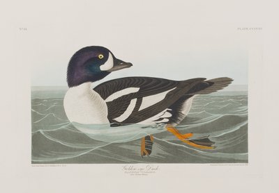 Ilustración de 