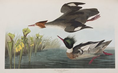 Ilustración de 