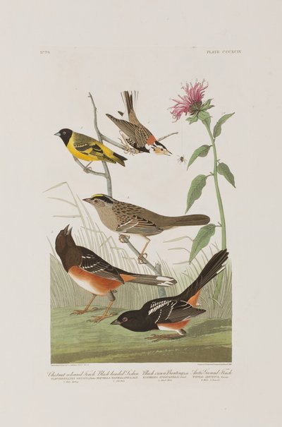 Ilustración de 