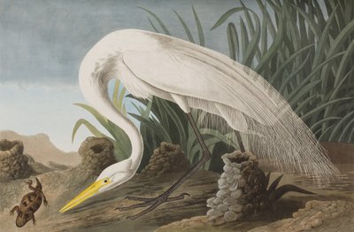 Ilustración de 