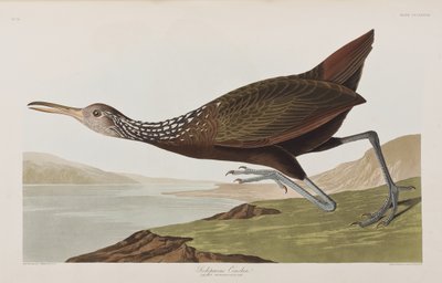 Ilustración de 