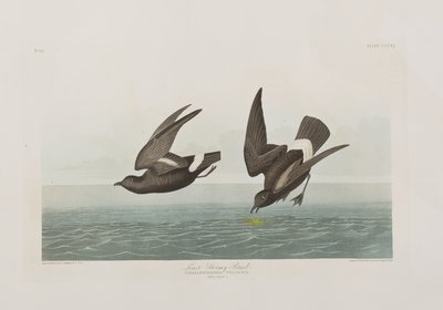 Ilustración de 