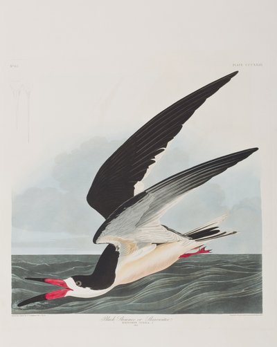 Ilustración de 