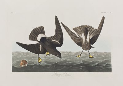 Ilustración de 