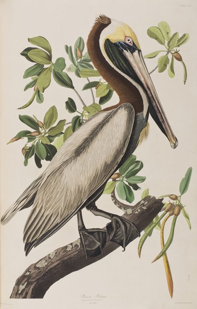 Ilustración de 