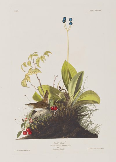 Ilustración de 