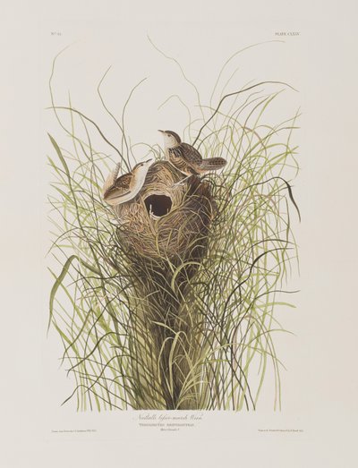 Ilustración de 